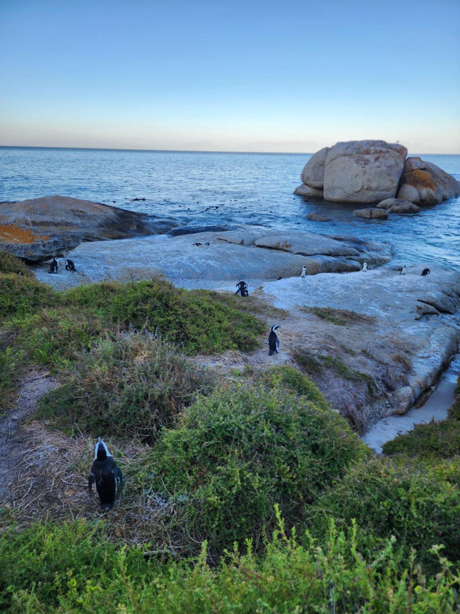 Boulders Blue Bed And Breakfast 西蒙镇 外观 照片
